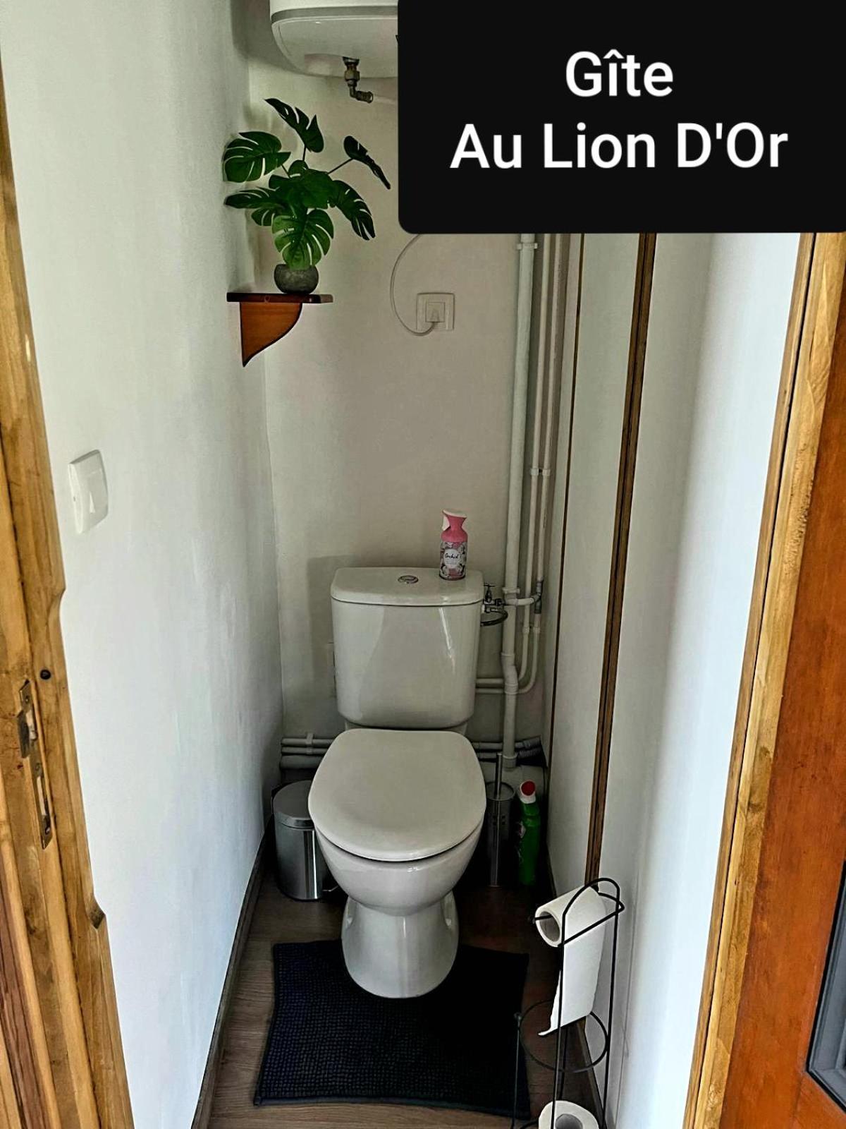 Au Lion D'Or Apartman Les Roches-l'Eveque Kültér fotó